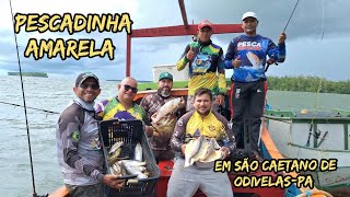 Só Pescadinha amarela top EM SÃO CAETANO DE ODIVELASPA aventura fish viral pesca peixe [upl. by Avon]