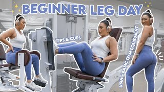 BEGINNER LEG DAY  Using Basic Gym Equipment [upl. by Arimaj]