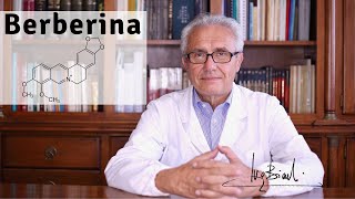 Berberina una meravigliosa molecola di Difesa Antivirale [upl. by Galligan]