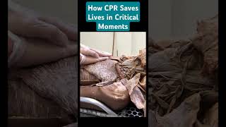 How CPR Saves Lives in Critical Moments knowledge heartanatomy [upl. by Orelee]