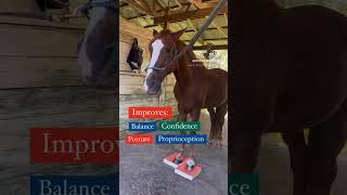 Horse on Stability Pads benefits of stability pads [upl. by Aibonez]