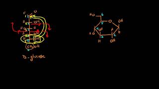 Cyclization of Sugars 2 [upl. by Adnilg]