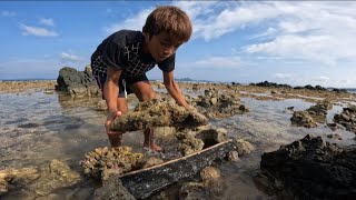 Panghuhuli ng Octopus sa Hibasan Gamit ang Trap na to Catch amp Cook [upl. by Dnomder]