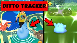 How to Catch Ditto in Pokemon Go  Ditto Disguise September in Pokemon GO  Pokemon Go Shiny Ditto [upl. by Llenreb289]