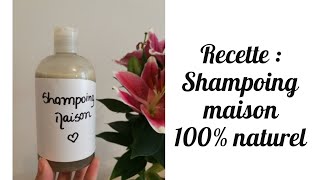 Recette Shampoing maison 100 naturel  DIY [upl. by Laith]