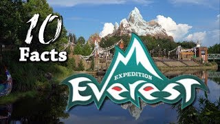 10 YetiSized Facts about Expedition Everest at Disneys Animal Kingdom  ParkFacts [upl. by Anaek]