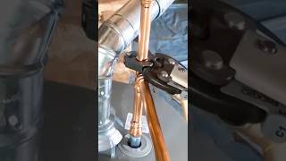 Replacing a gas fired water heater and thermal expansion tank 💦 plumbing plumber asmr diy [upl. by Ybsorc630]