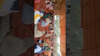 Guru Nanak Birthday Celebration in Kolkata [upl. by Alyag]