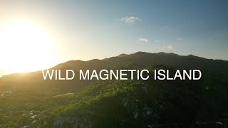 Wild Magnetic Island [upl. by Alyahsat]