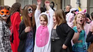 Le Carnaval du collège Saint Saëns [upl. by Dal635]