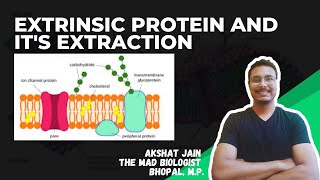 EXTRINSIC PROTEIN AND ITS EXTRACTION CSIR NET EXTRINSIC PROTEIN AND ITS EXTRACTION CSIR NET [upl. by Gnihc]