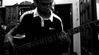 Deftones  Mein Bass Cover [upl. by Ecirtaed651]