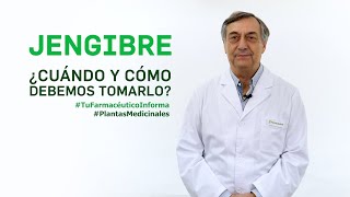 Jengibre cuándo y cómo debemos tomarlo Tu Farmacéutico Informa  PlantasMedicinales [upl. by Ahsac977]