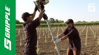 Installing Metal Vineyard Posts feat Gripple Petrol Driver [upl. by Chellman275]