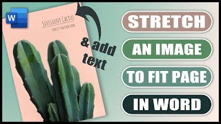 How to stretch a PICTURE TO FIT page in word  TEXT ON AN IMAGE in word [upl. by Georgeanna]