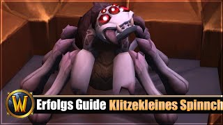 Erfolgs Guide Klitzekleines Spinnchen [upl. by Aura97]