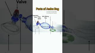 The Parts of an Ambu Bag emergencycare [upl. by Apeed]