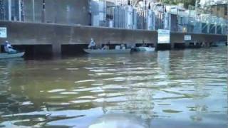 Fishing at Wheeler Dam Alabama [upl. by Colt]