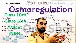 Osmoregulation  Hypotonic  hypertonic  isotonic 12th  mdcat  oneshot  ​GoldenEraScience [upl. by Gervais]