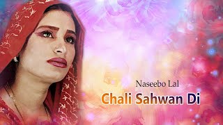 Naseebo Lal  Chali Sahwan Di Haneri  Pakistani Old Songs [upl. by Malin422]