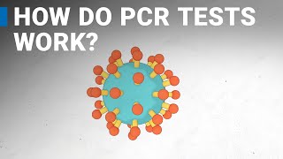 How do COVID19 tests work RTPCR explained [upl. by Drolet113]