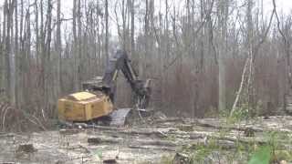 Swamp Logger  Country Boy Logging [upl. by Aveer]