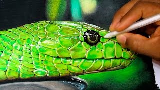 How to Draw a Realistic Snake  Time Lapse [upl. by Rhines994]