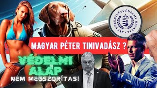 Magyar Péter tényleg Tinivadász 😱 Orbán ölne egy Nobelbékedíjért 🫣Heti Hírvadász4 🇭🇺🫡 [upl. by Weitman]