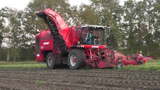 BIETEN ROOIEN MET EEN VERVAET Q 616 JOHN DEERE 6175 R JOSKIN [upl. by Chap]