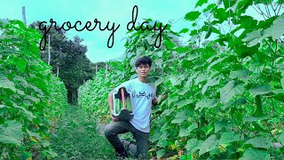 13 Pasaraya Ku Di Kebun Sayur  Grocery Day [upl. by Adeline]