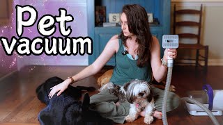 Dog Hair Vacuum I TESTED it on My 3 Dogs [upl. by Morgana623]