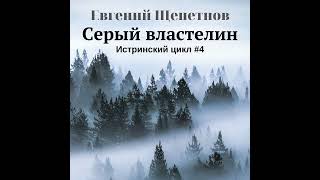 Евгений Щепетнов – Серый властелин Аудиокнига [upl. by Jojo]