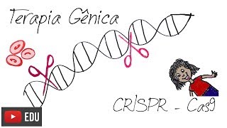 É possível editar genes CRISPR Cas9  InstanteBiotec 08 [upl. by Winston519]