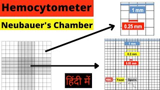 Hemocytometer  Neubauer chamber  RBC count  WBC count  Cell Count  Calculation  Hindi mlt [upl. by Lamaj]