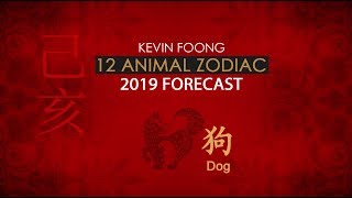 2019 Dog Animal Sign Forecast By Master Kevin Foong [upl. by Nautna]