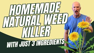 Homemade Natural WEED KILLER with Just 3 Ingredients [upl. by Elatsyrc638]