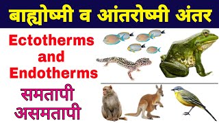 बाह्योष्मी और आंतरोष्मी में अंतर हिंदी में  ectotherms and endotherms in hindi  biology ScienceSK [upl. by Checani881]