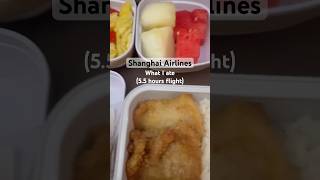 Shanghai Airlines  inflight meal  Kuala Lumpur to Shanghai [upl. by Rimhsak]