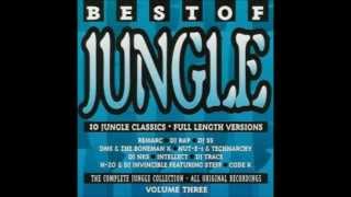 Best Of Jungle Volume Three [upl. by Cally]