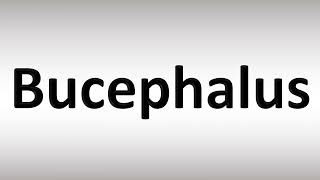 How to Pronounce Bucephalus [upl. by Dell]