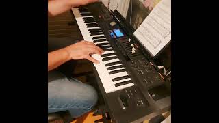 How to use or play the Roland VR09 as a pipechurch combo organ [upl. by Menendez]