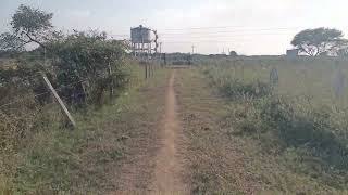 9000169371land for sale in narayankhed sangareddy Jilla [upl. by Giacinta]