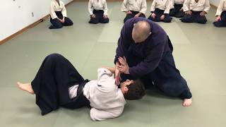 Aikido Aiki in Nikyo [upl. by Thurman]