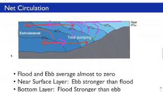 Estuary Classification [upl. by Marinelli]