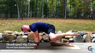 Quadruped Hip Circles  Exercise Demonstration [upl. by Shanan]