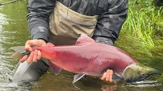 Fishing Yakutat Alaska 2021 [upl. by Joby690]