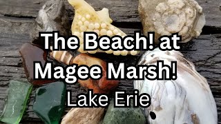 Magee Marsh Beach Lake Erie Rockhounding [upl. by Franci]