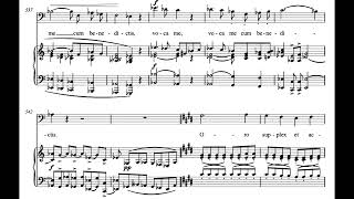 Confutatis Requiem  G Verdi Score Animation [upl. by Blackington]