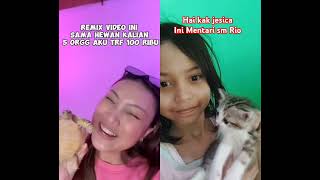 Kucing lucu remix kak jesica animals petsmemesreaction cat kucinglucuimut memefunny stitch [upl. by Ahsait]