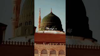 Vairal yarasoolallahﷺ 💯 trendingshorts new vairalshort eid miladunnabi vairalshort sorts [upl. by Nashoma]